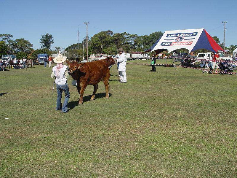beef-week 056.jpg